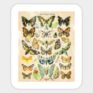 Butterfly chart Sticker